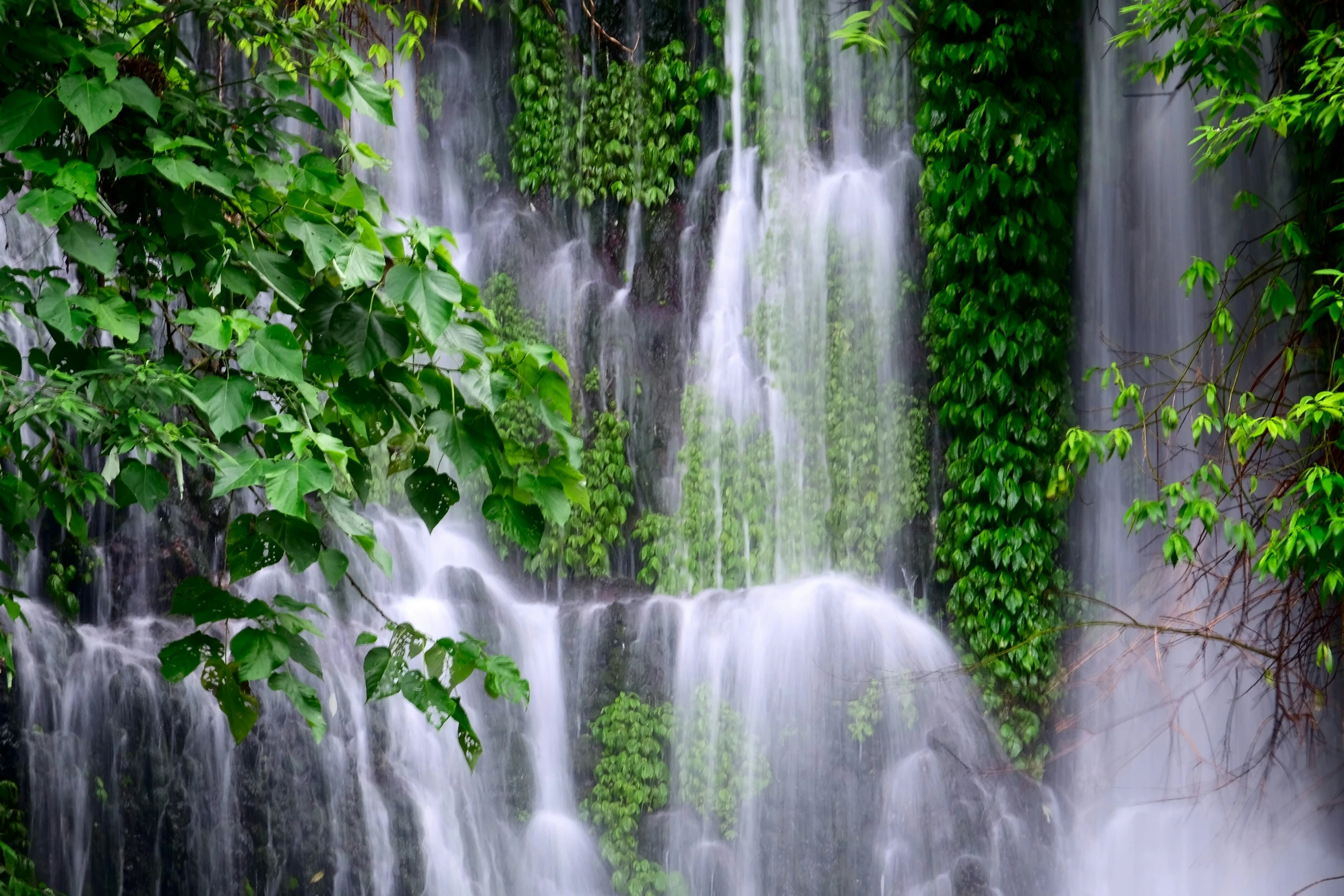 two tall waterfalls side by side, surrounded by trees and plants