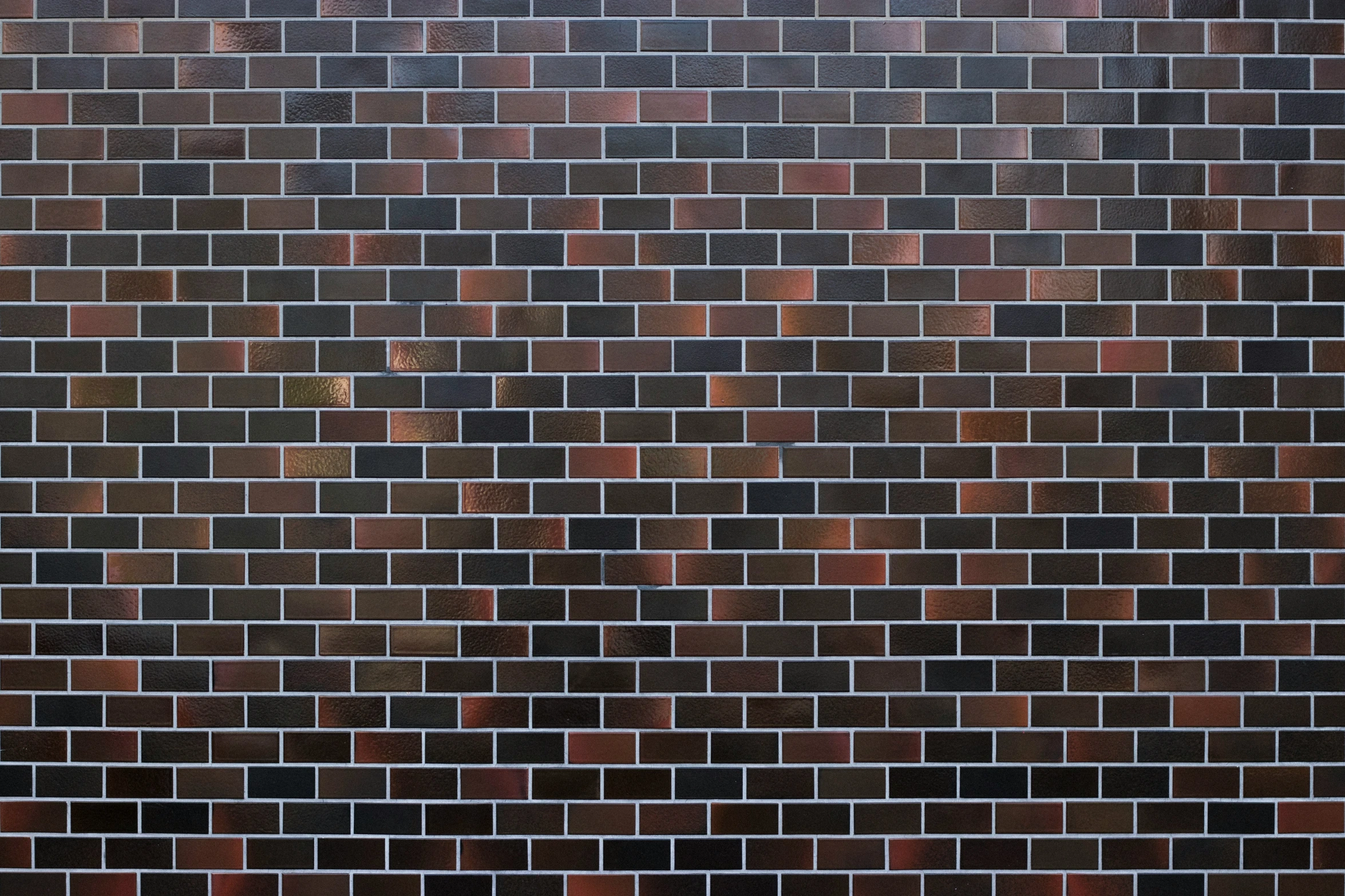 a black bird stands on the ledge of a wall