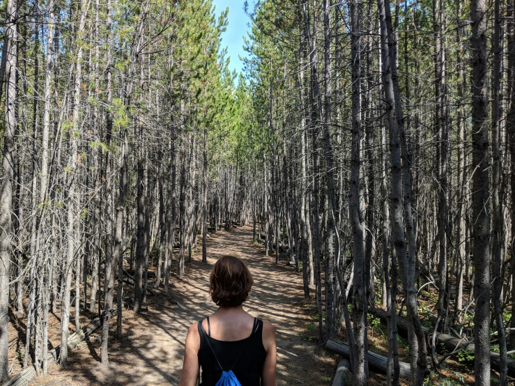 a woman stands alone in the middle of a forest