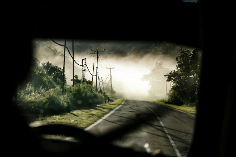 a foggy road surrounded by trees and power lines