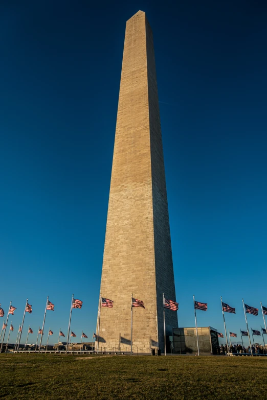 the washington monument is near some flags on grass