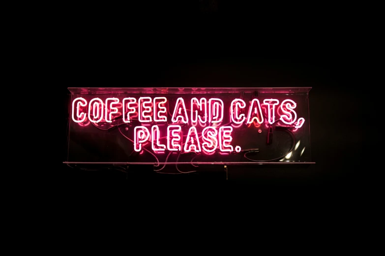 a purple neon sign that reads coffee and cats please