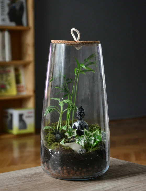 the terrarium is filled with plants and rocks