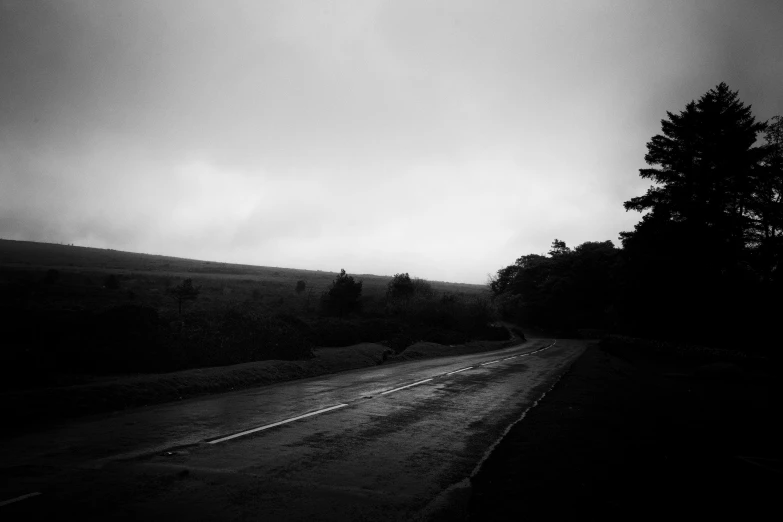 an eerie view of fog and light with a lone tree on the side