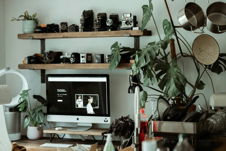 there are pots and plants on the shelf above the computer