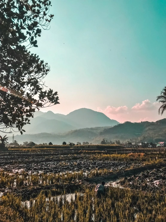 view over farmland to the distant mountain ranges