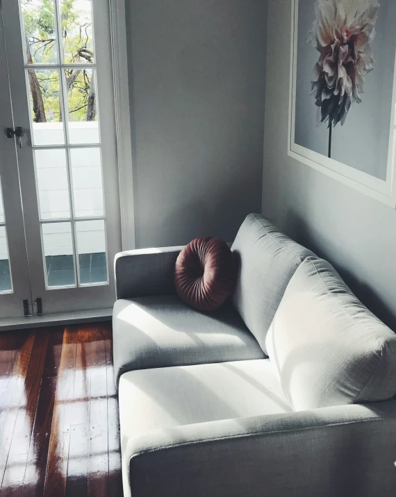 a living room with white walls, hardwood flooring and a light gray couch