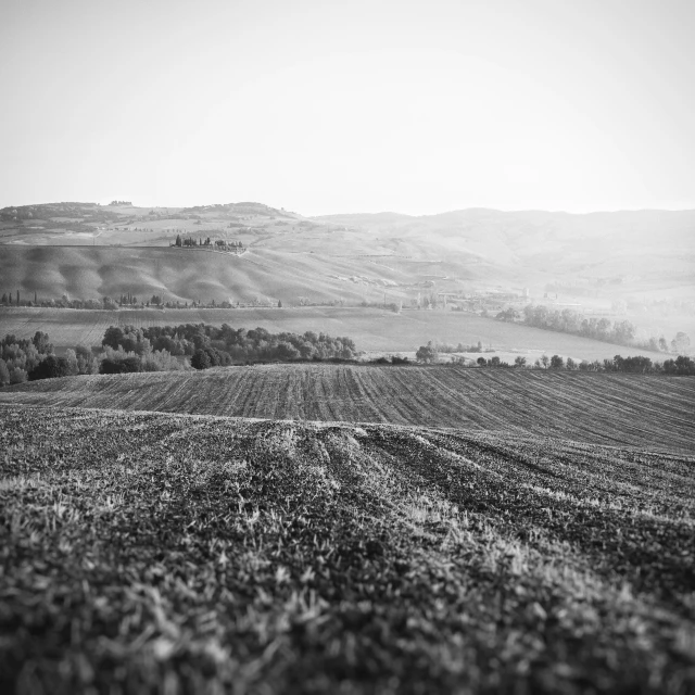 a landscape s of a field in the country