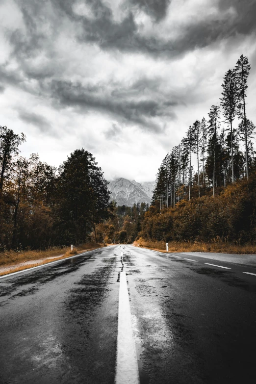 a wet highway is shown with trees in the background