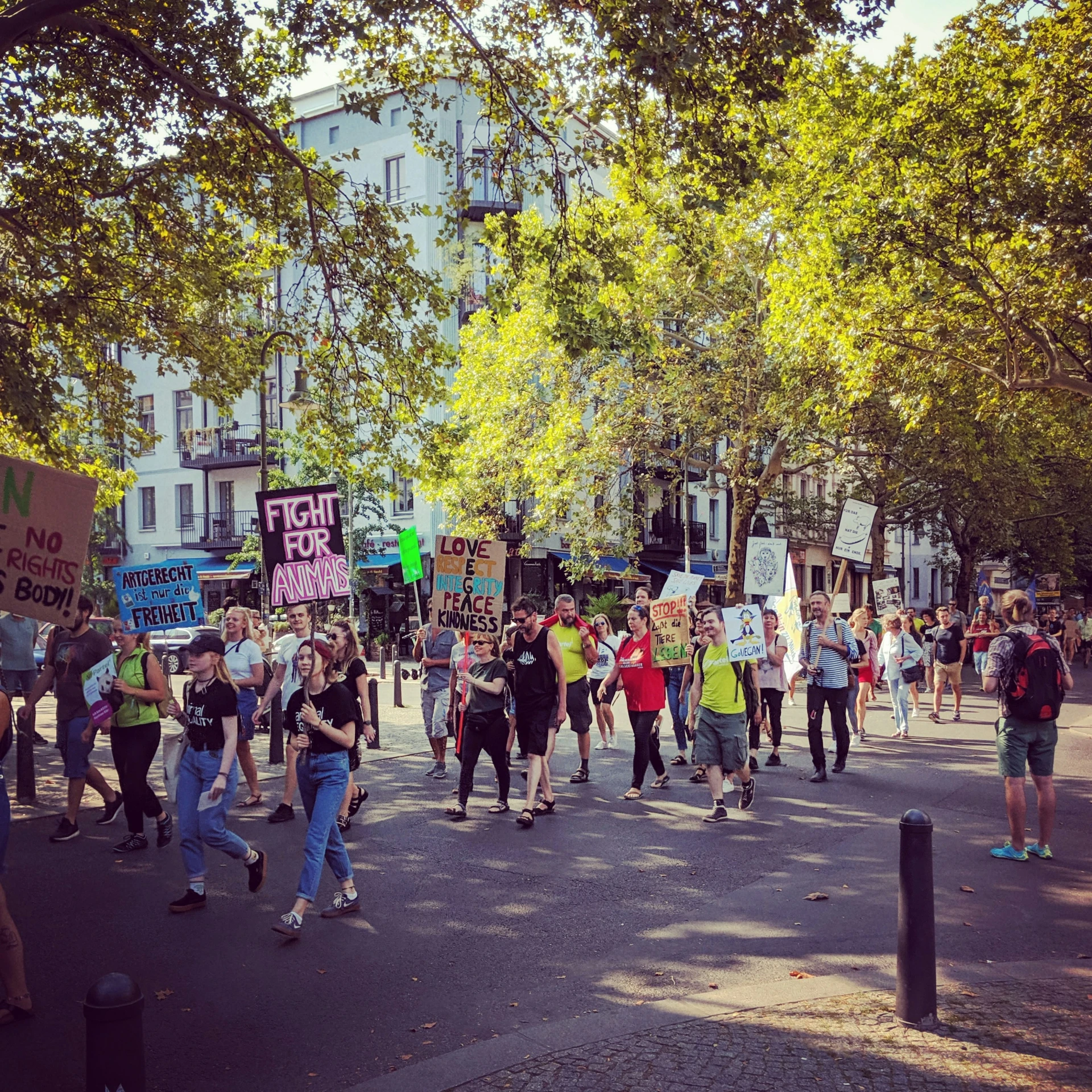 some people on a street and some holding signs