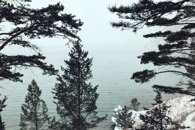 snow is falling and trees are next to the water