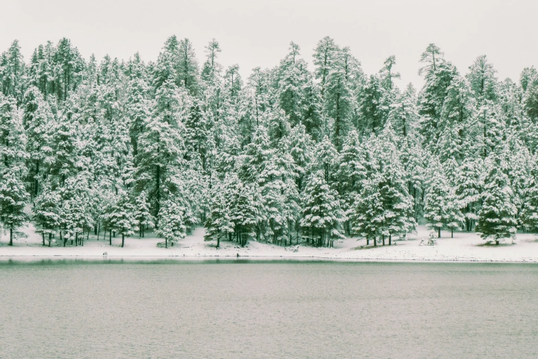 the snowy pine trees are surrounding the water