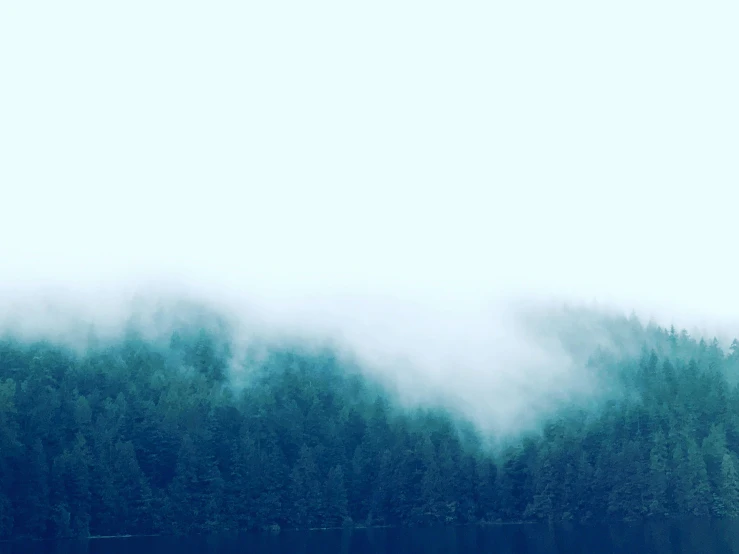 a hazy tree line stands against the blue sky