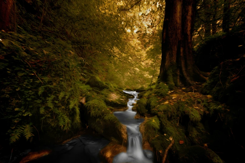 water rushing through lush forest in the middle of a jungle