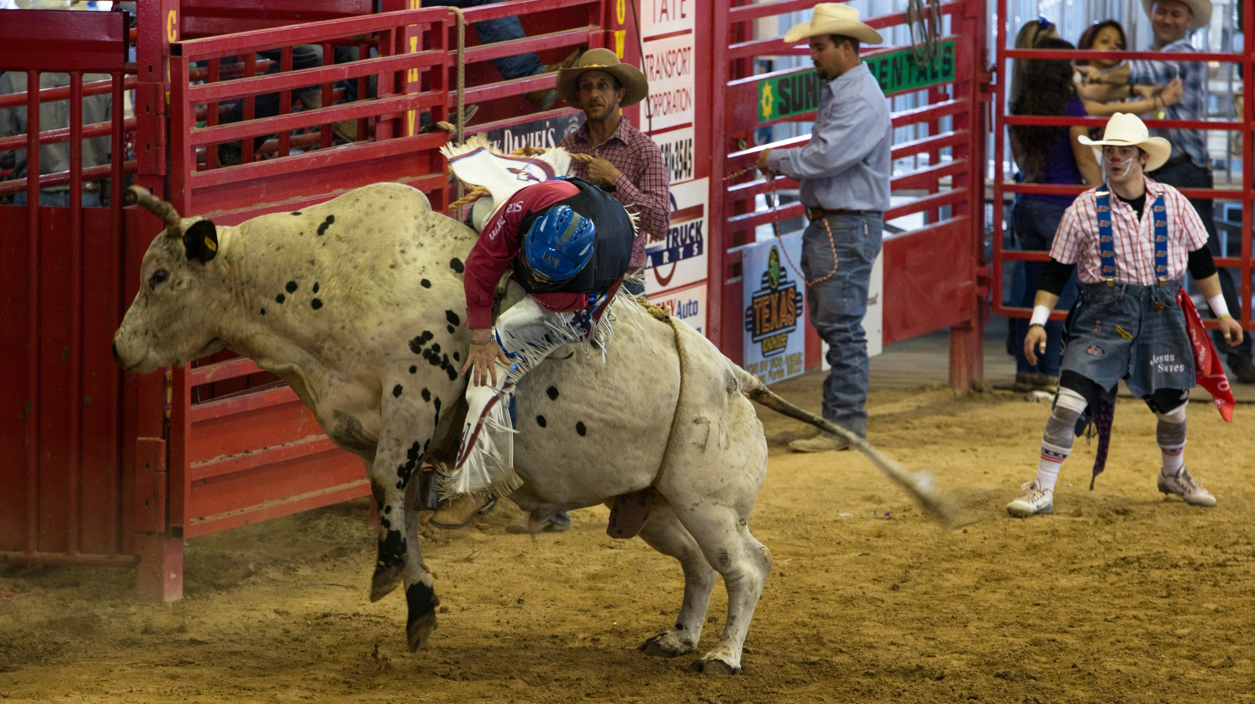 the man on the bull is being towed by another child