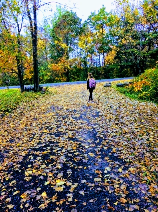 a person walks on the leaves covered path through a wooded area