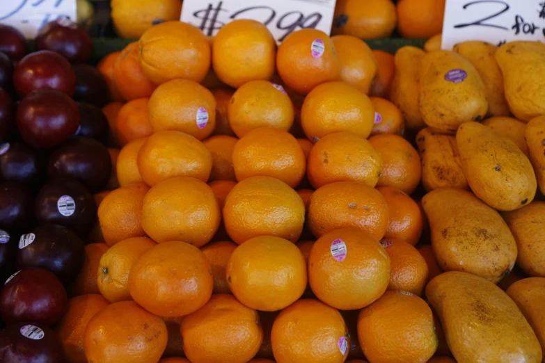 a display in a market filled with fruits