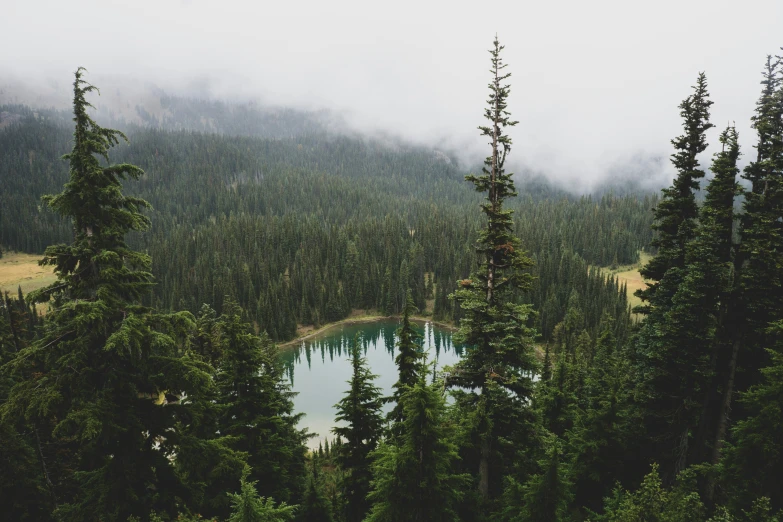 a mountain range with trees and water near it