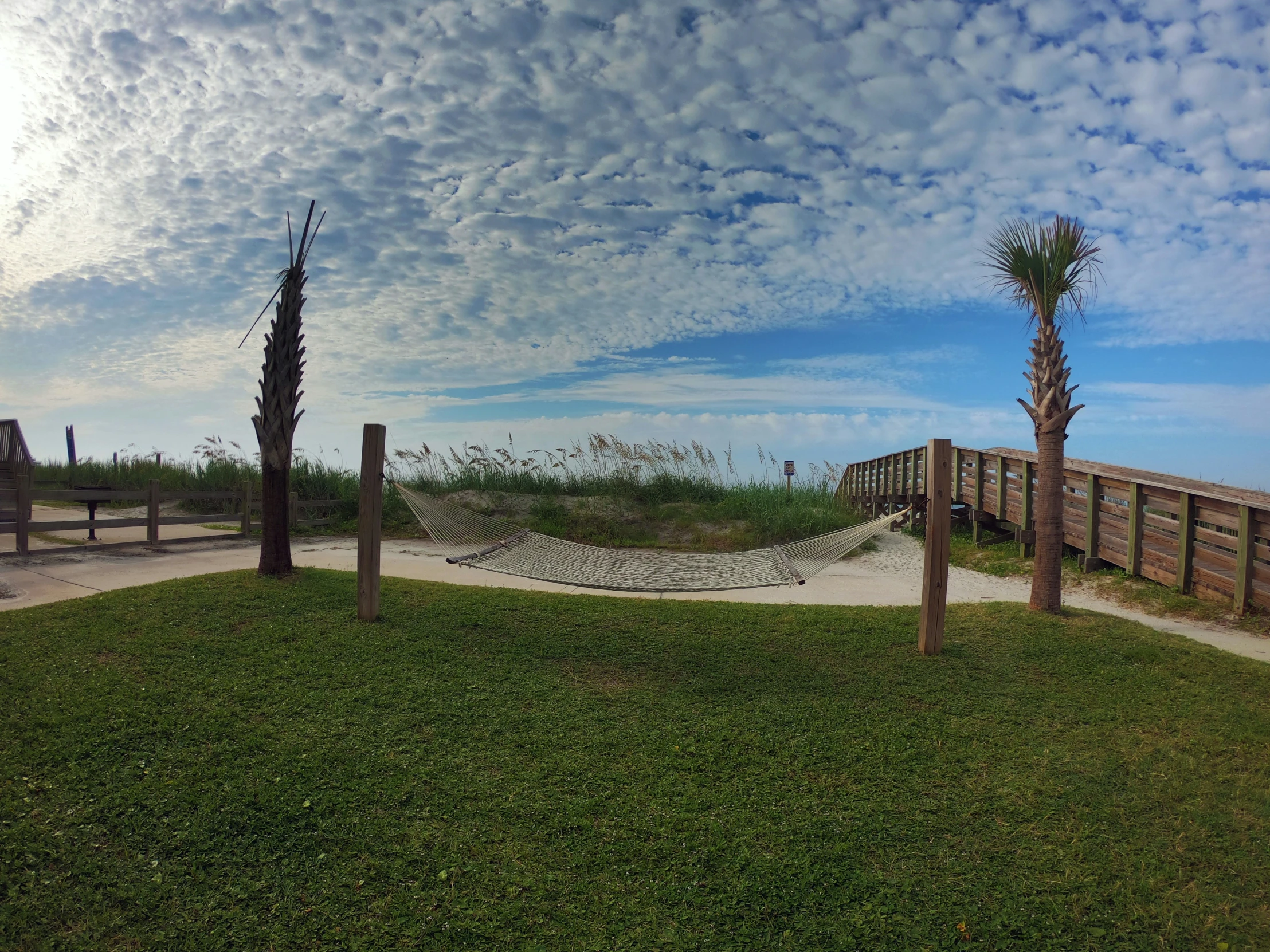 a very nice view of the beach and trees