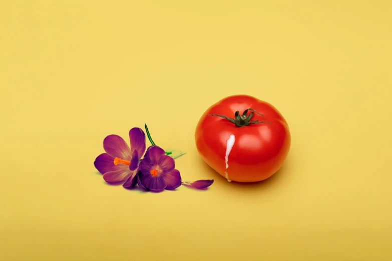 a tomato sitting next to a purple flower on a yellow surface