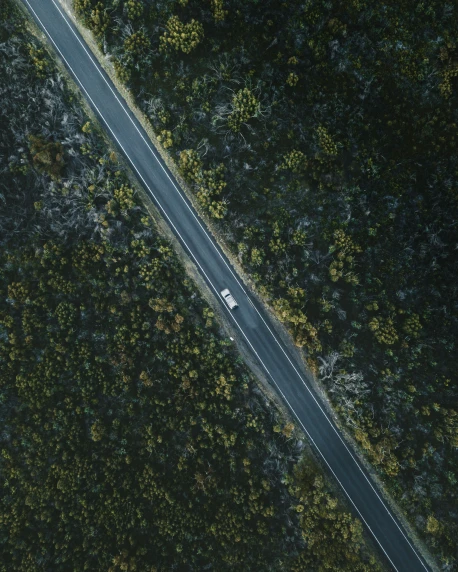 the top view of a truck on a road through the trees