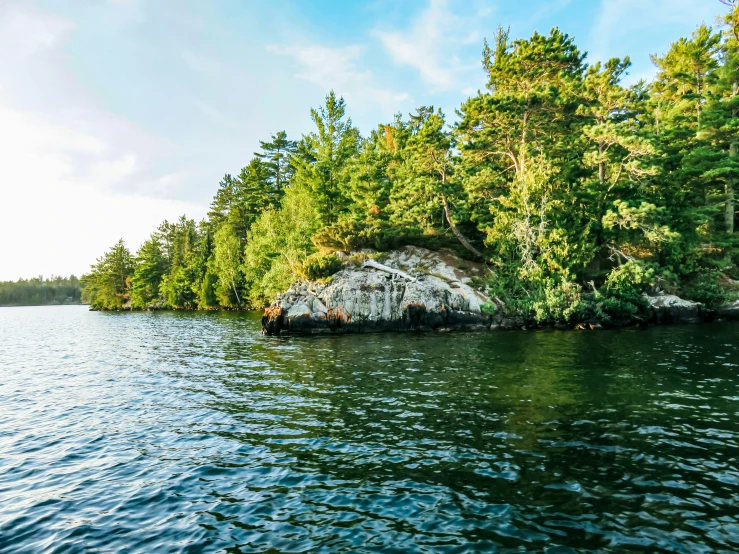 trees line the shore of a lake by a rocky shore