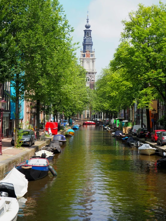 a river is in front of trees and a clock tower