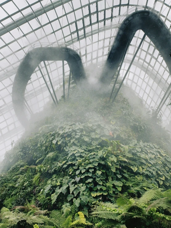 a large, massive cloud covered building in a forest