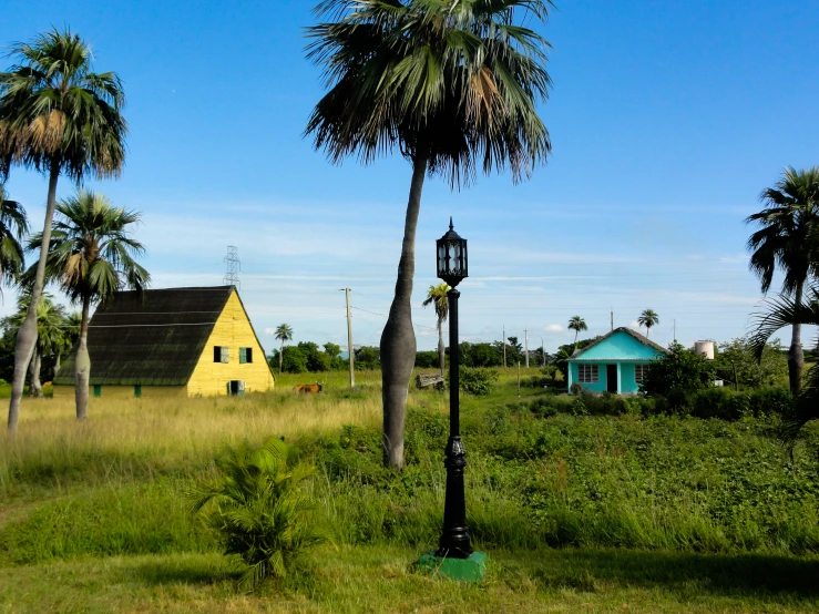 two small yellow houses sit on grass near palm trees