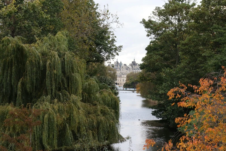 a waterway with trees and buildings in the distance
