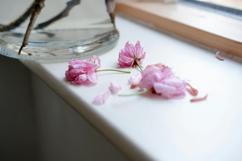 a view of a few pink flowers in a vase