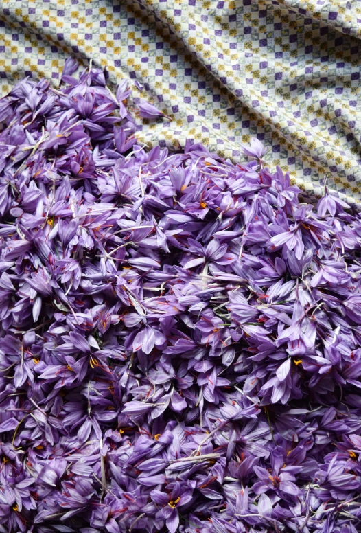 a group of purple flower petals on a plaid cloth