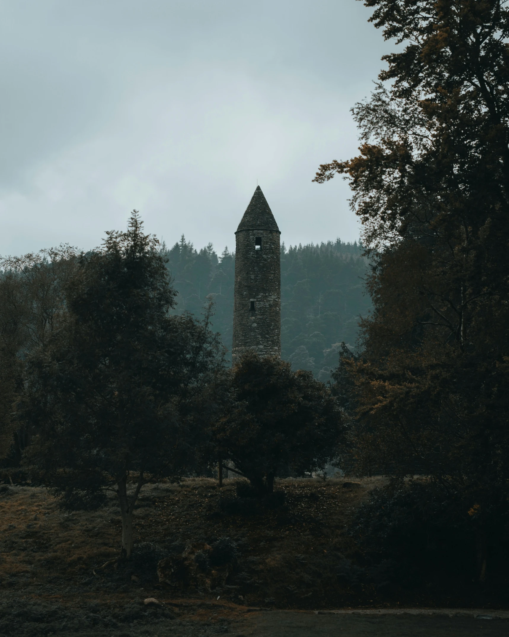 an old clock tower surrounded by a forest