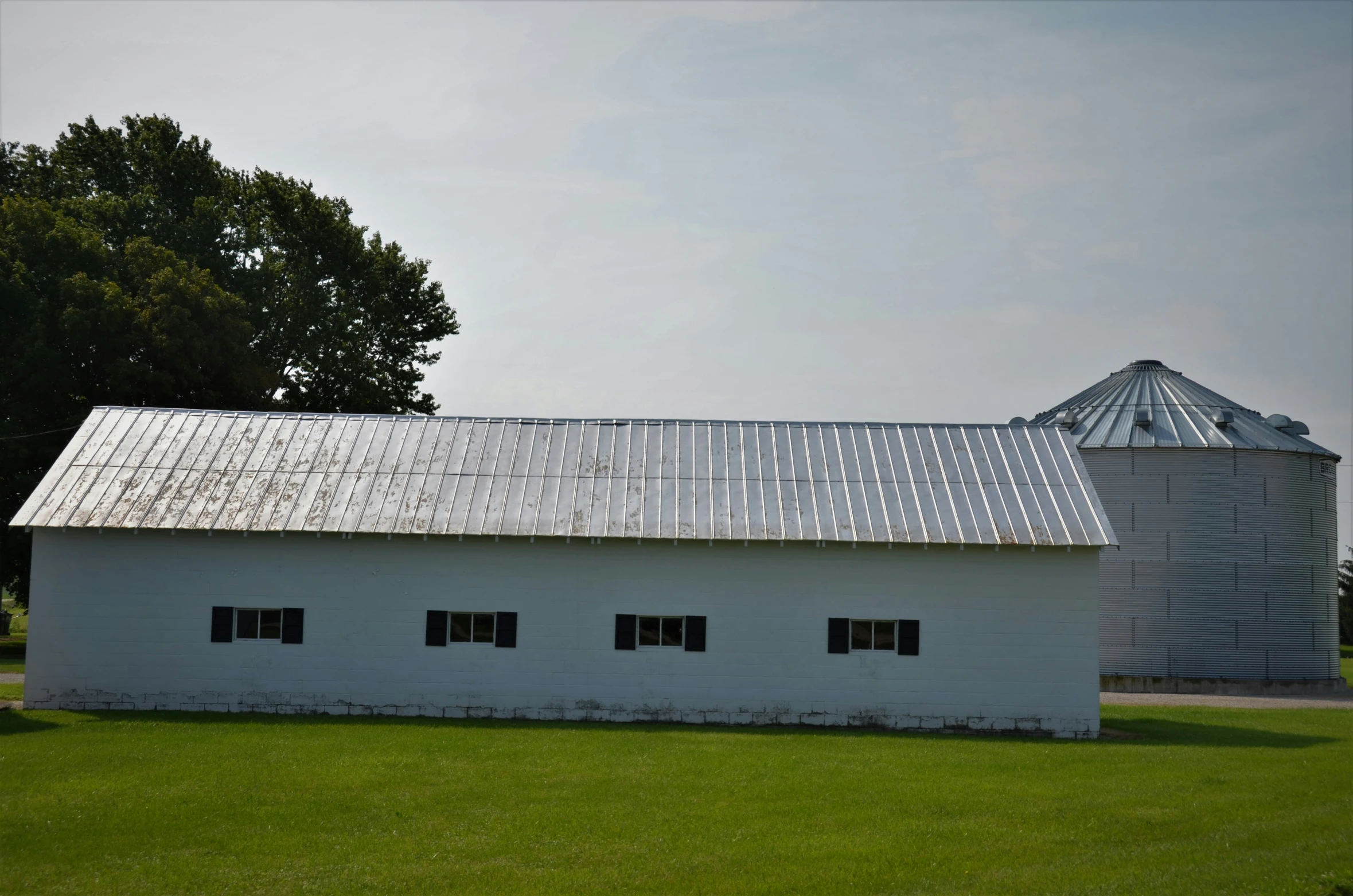 a barn and silo in front of a tree in the sun