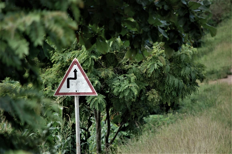 the sign shows a curve at the end of the road