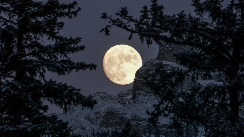 a full moon setting in the sky with trees