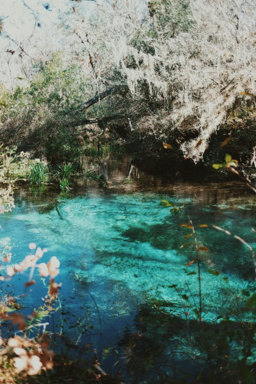 water is transparent blue, but it's only a few inches away