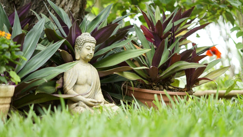 there is a buddha statue sitting on the grass