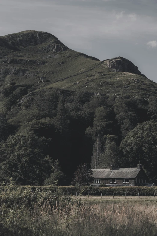 a horse is grazing in front of a house