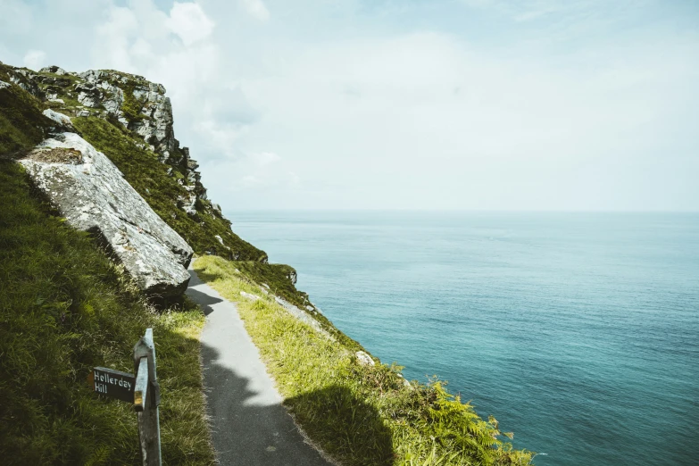 a path winding along a grassy hill next to the ocean