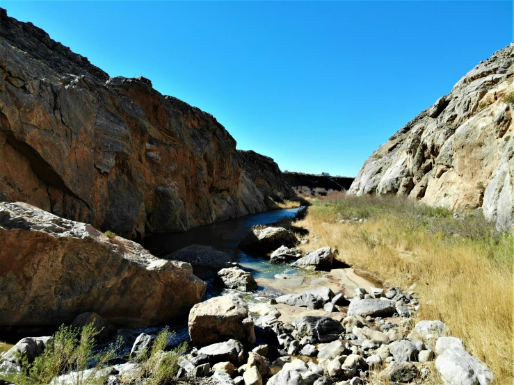 an open rocky, grassy area is next to the stream