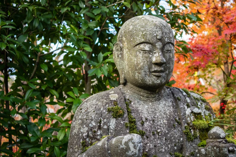 the statue has moss growing on it