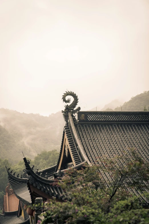 mountains surrounding a temple with ornate roof designs