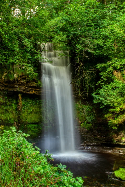 an image of the waterfall that is in the woods