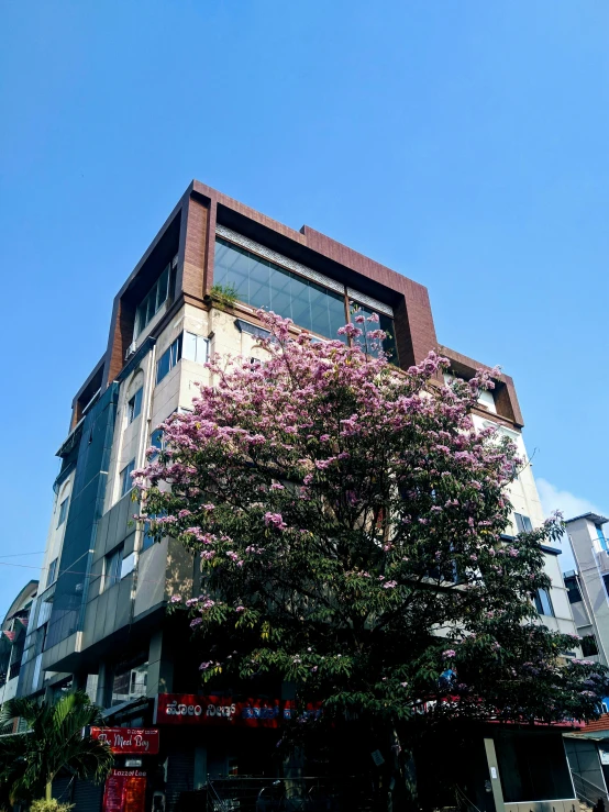 a building with trees and other architecture near it