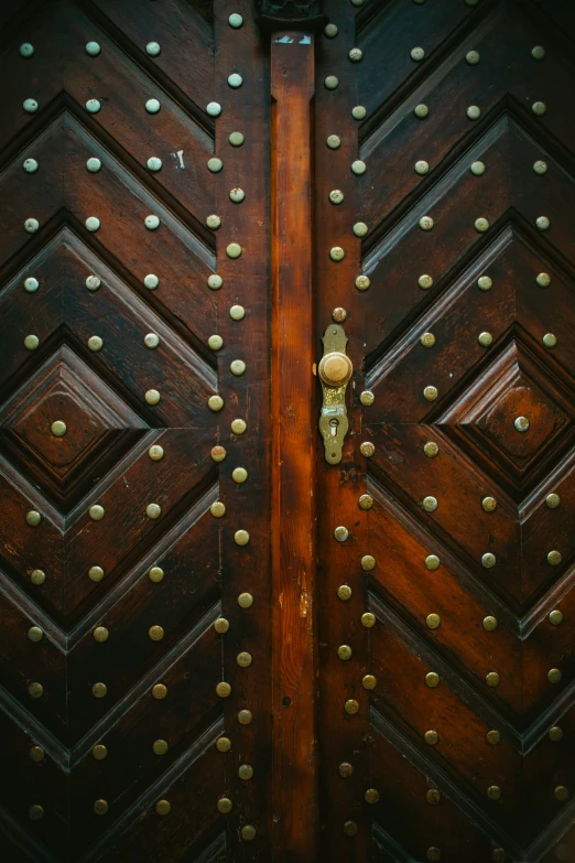 a closeup view of a wooden door that is decorated with silver rivets