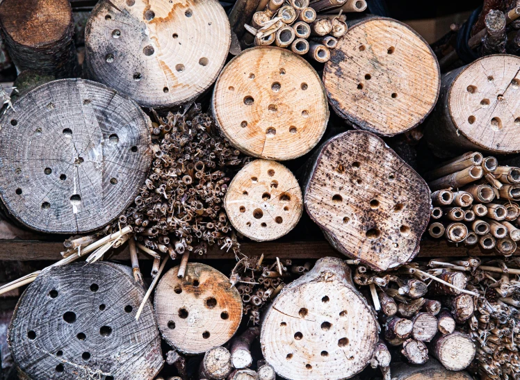 several wooden pegs with holes all over them