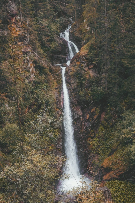 a large waterfall in the woods surrounded by trees