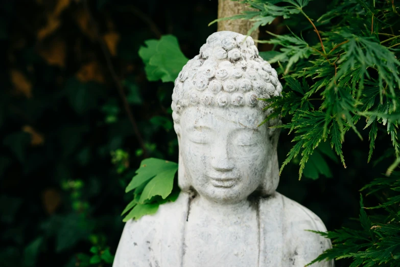 a statue in front of a bush with leaves on it