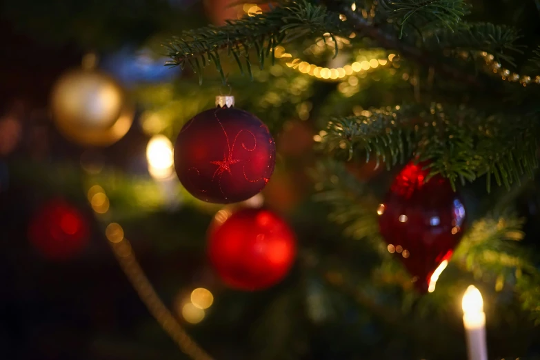 christmas ornaments hanging on the nch of a tree